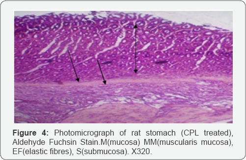 Click here to view Large Figure 1