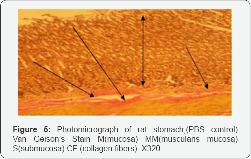 Click here to view Large Figure 1