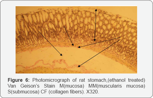 Click here to view Large Figure 1