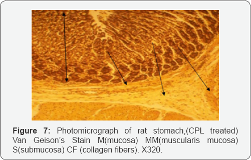 Click here to view Large Figure 1