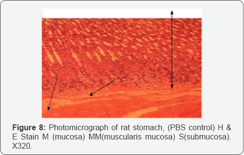 Click here to view Large Figure 1