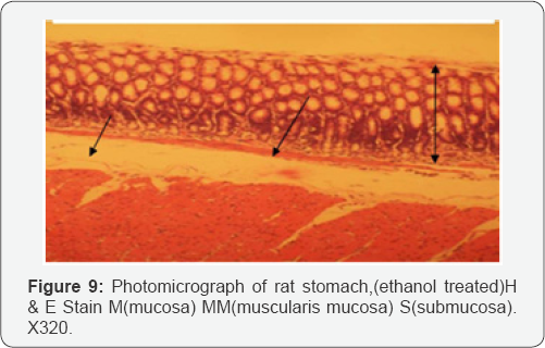 Click here to view Large Figure 1