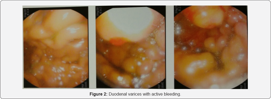 Click here to view Large Figure 2