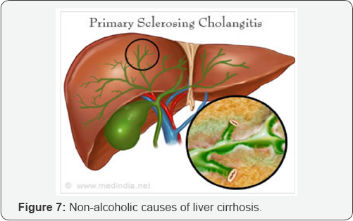 Click here to view Large Figure 7