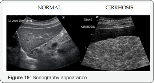 Click here to view Large Figure 19