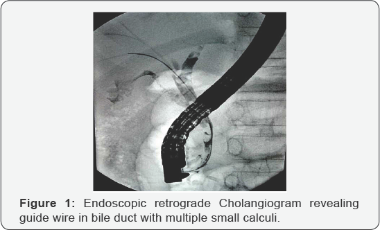 Click here to view Large Figure 1