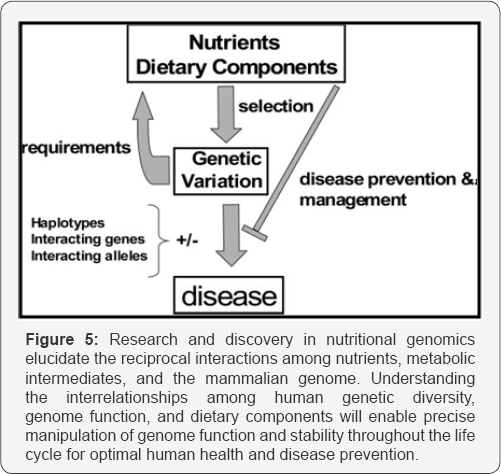 Click here to view Large Figure 5