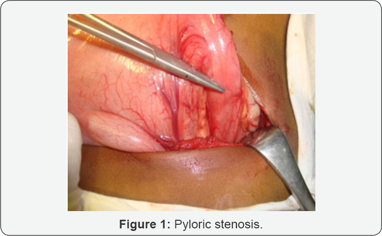 Click here to view Large Figure 1