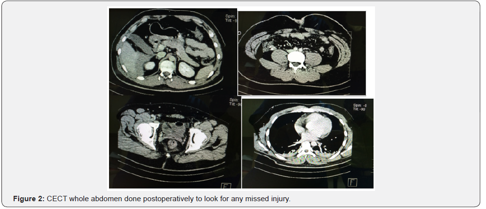 Click here to view Large Figure 2