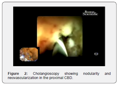 Click here to view Large Figure 2