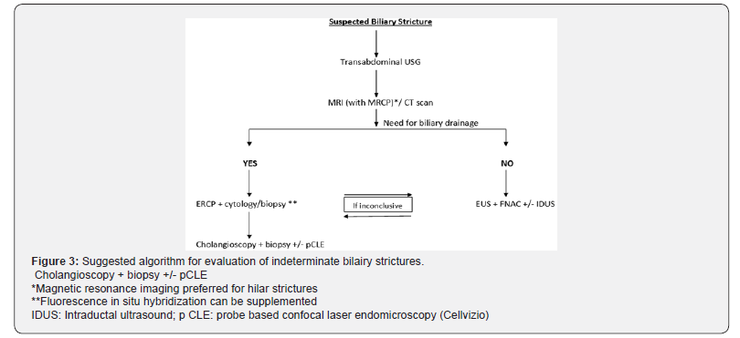 Click here to view Large Figure 3