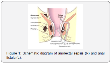 Click here to view Large Figure 1