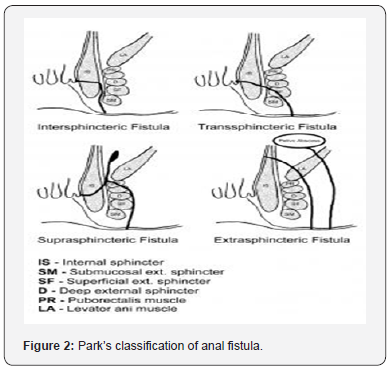 Click here to view Large Figure 2