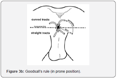 Click here to view Large Figure 3b