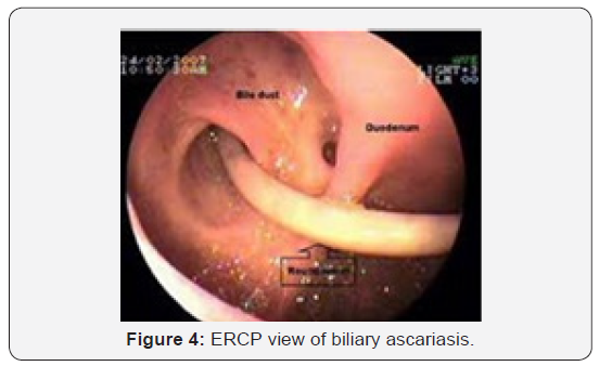 Click here to view Large Figure 4