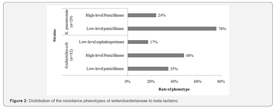 Click here to view Large Figure 2