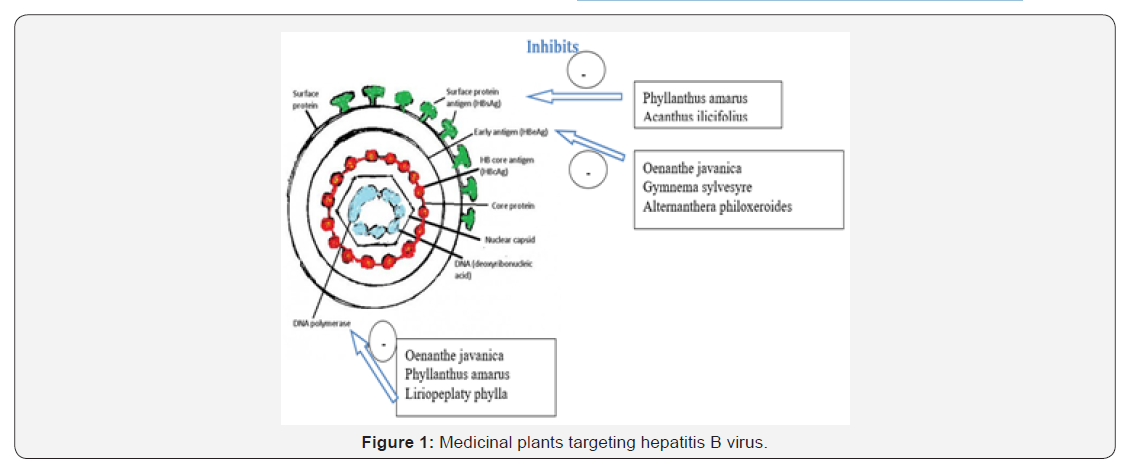 Click here to view Large Figure 1