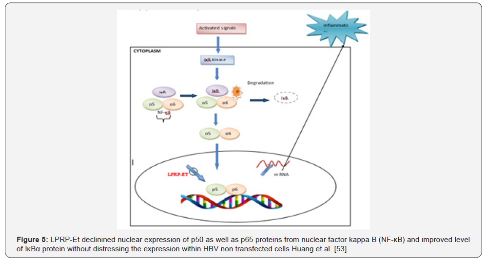 Click here to view Large Figure 5
