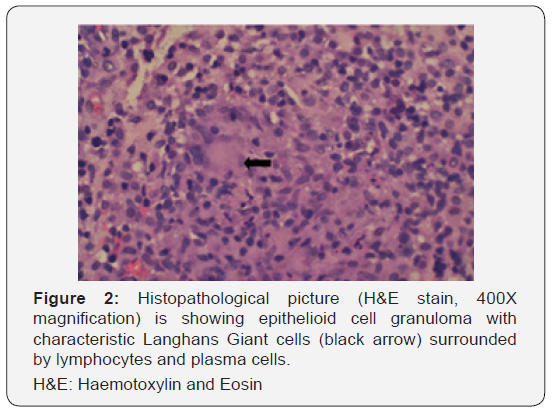 Click here to view Large Figure 2