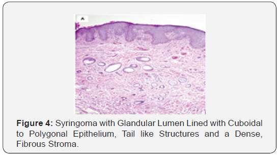 Click here to view Large Figure 4
