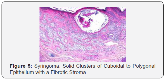 Click here to view Large Figure 5