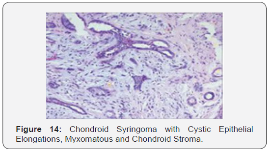 Click here to view Large Figure 14