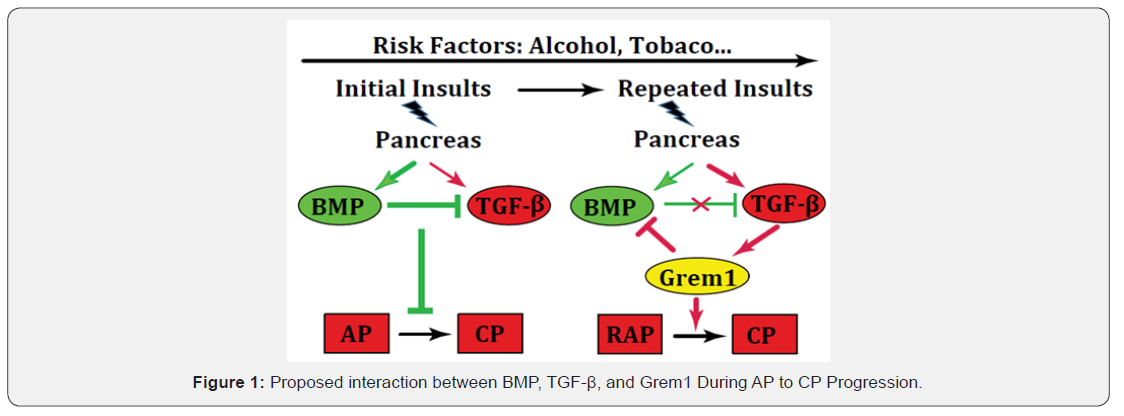 Click here to view Large Figure 1
