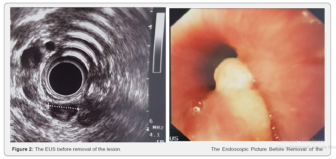 Click here to view Large Figure 1