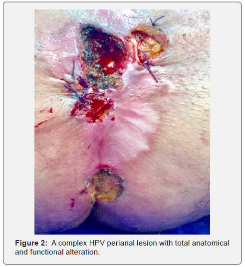 Click here to view Large Figure 2