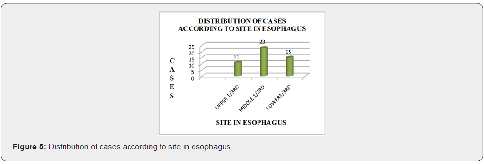 Click here to view Large Figure 5 Advanced Research in Gastroenterology & Hepatology