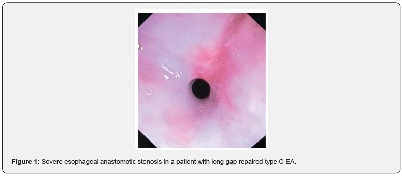 Click here to view Large Figure 1