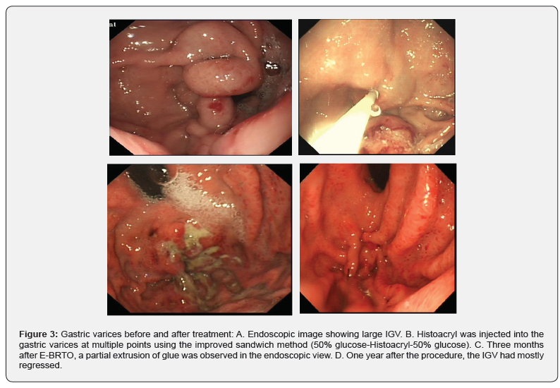 Click here to view Large Figure 3