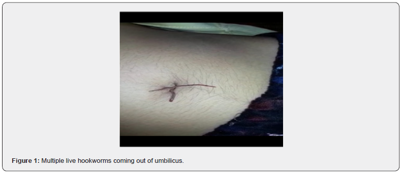 Click here to view Large Figure 1