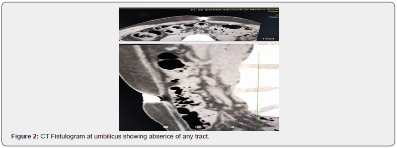 Click here to view Large Figure 2