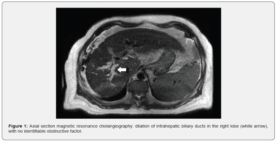 Click here to view Large Figure 1