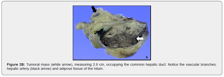 Click here to view Large Figure 3