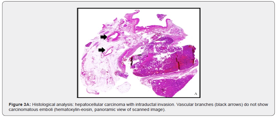 Click here to view Large Figure 4