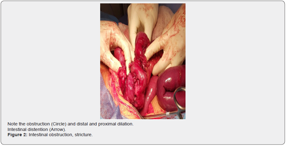 Click here to view Large Figure 2 Material Science