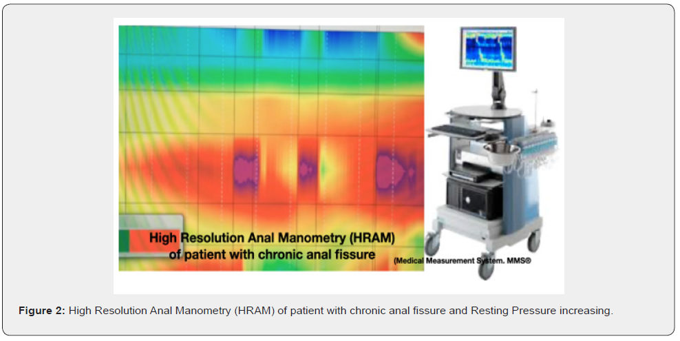 Click here to view Large Figure 2