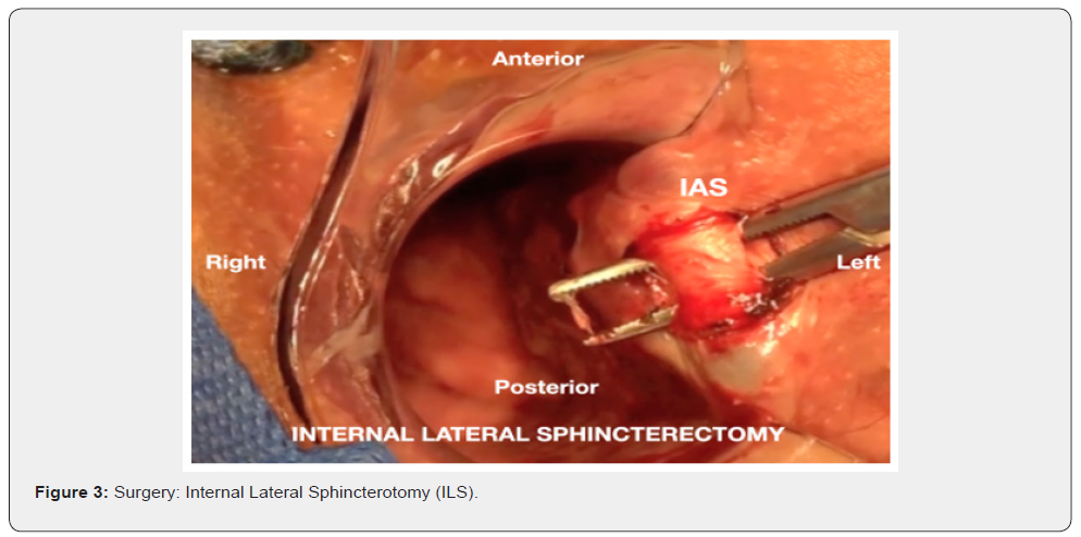 Click here to view Large Figure 3