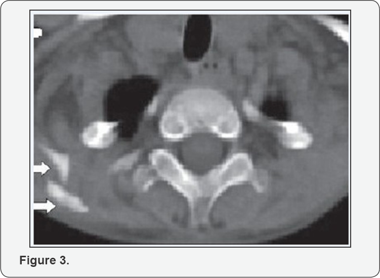 Click here to view Large Figure 3