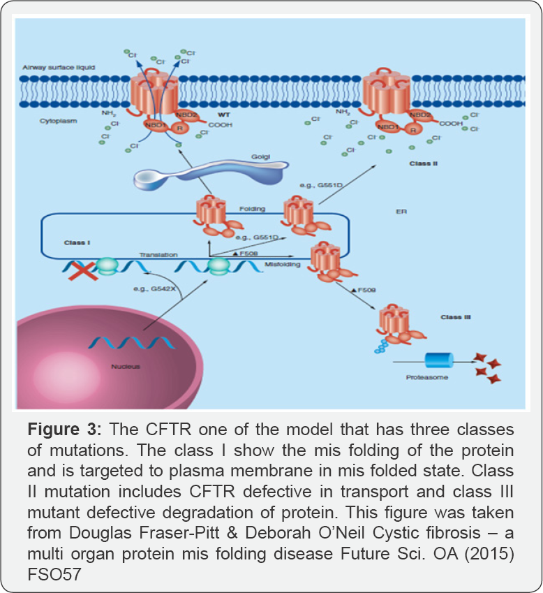 Click here to view Large Figure 3