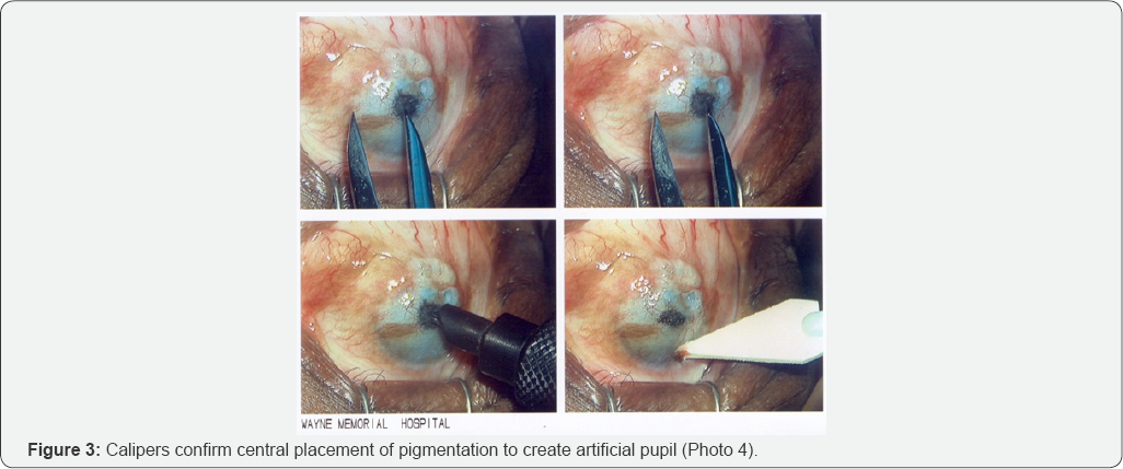 Click here to view Large Figure 3
