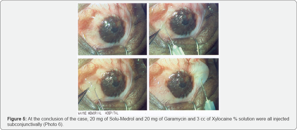 Click here to view Large Figure 5