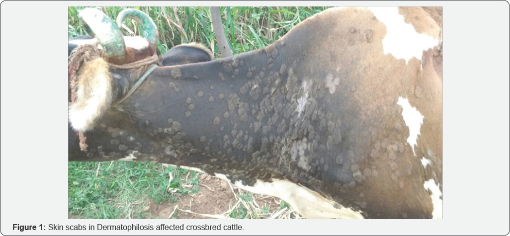 Click here to view Large Table 1