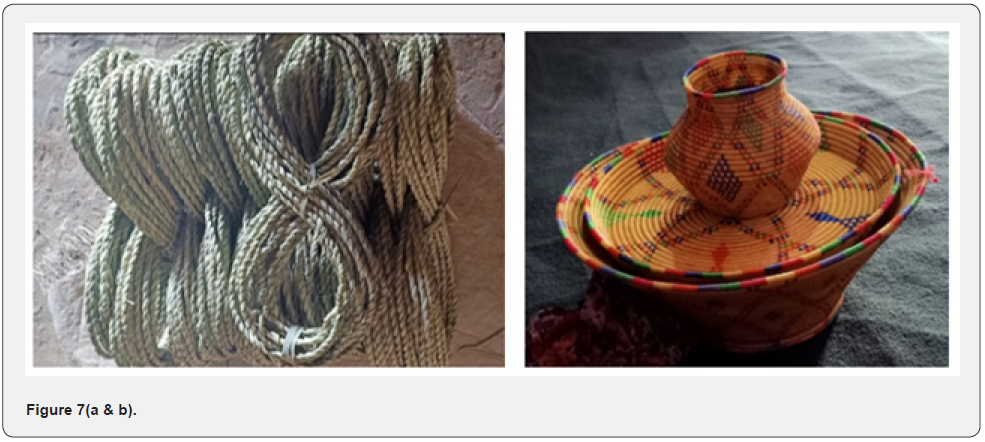 Click here to view Large Figure 7