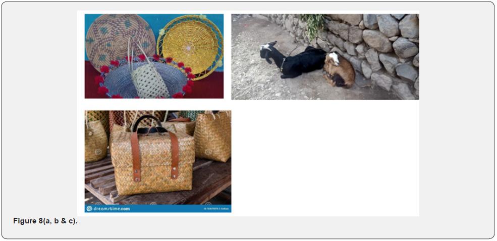 Click here to view Large Figure 8