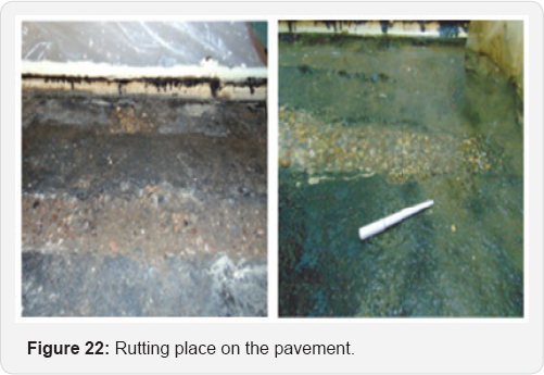 Click here to view Large Figure 22