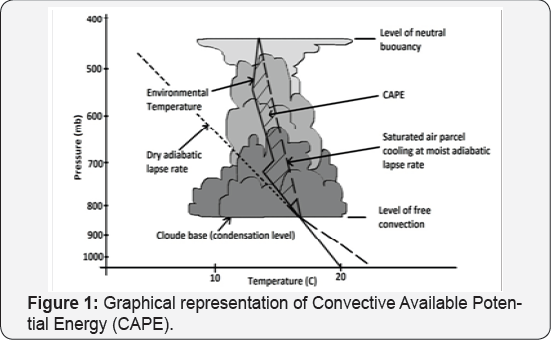 Click here to view Large Figure 1
