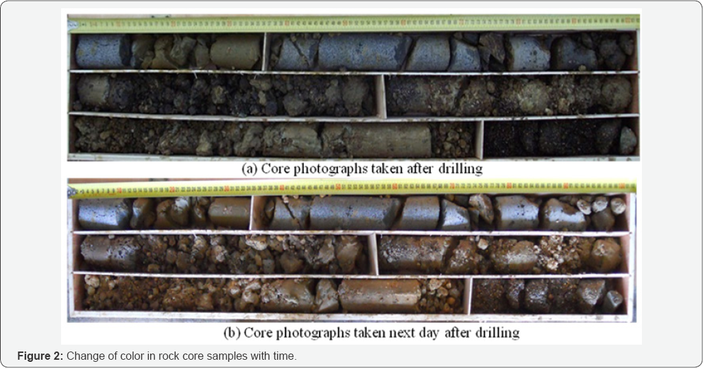 Click here to view Large Figure 2